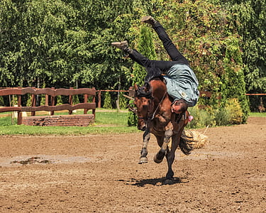 man riding horse photograph thumbnail