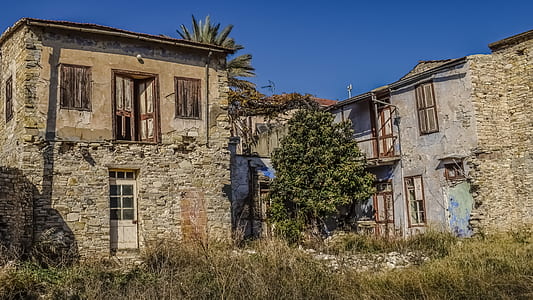 green leafed tree beside beige concrete house thumbnail