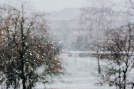 Snowy Street with Cars thumbnail