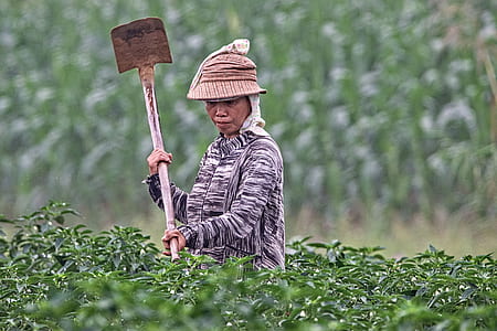 selective focus photography of woman holding shovel in green plant field thumbnail