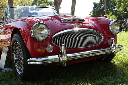 classic red jeep parked in grass ground thumbnail