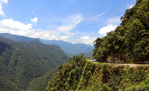 green trees and mountain thumbnail