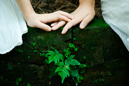 person's hand above another person's hand on brick garden edging thumbnail