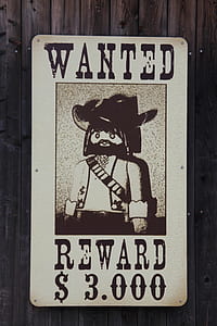 wanted reward $3,000 signage thumbnail