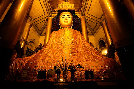 Buddha statue in room thumbnail