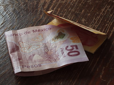 50 Mexican peso banknote thumbnail