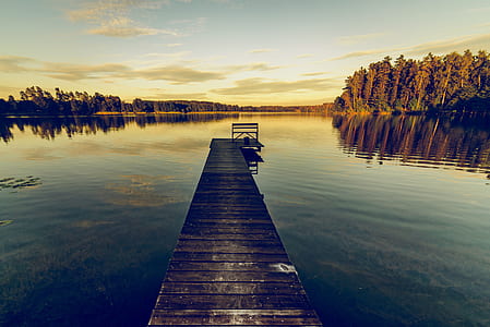 Brown Wooden Dock during Daylight thumbnail