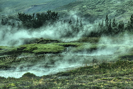 grass field with mist thumbnail