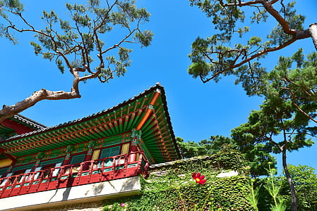 low angle photography of red and green temple under blue sky during daytime thumbnail