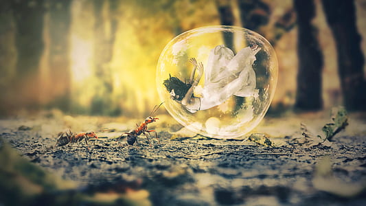woman wearing white dress inside balloon beside ants during daytime thumbnail