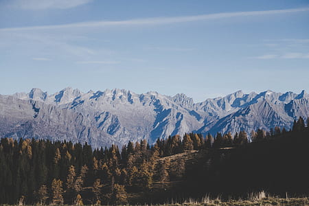 gray mountain and trees under clear sky thumbnail