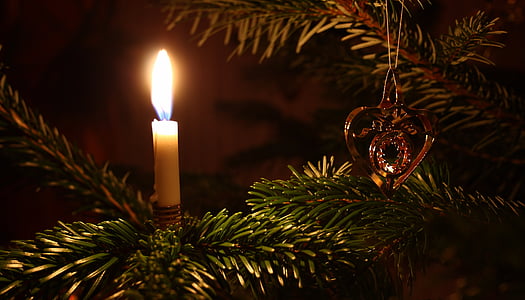 tealight candle on green christmas tree thumbnail