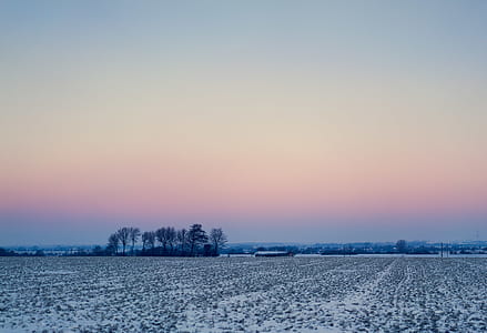 cold, snow, dawn, landscape thumbnail