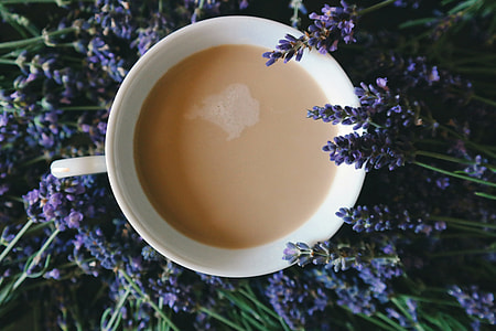 Overhead shot of a cup of tea and flowers thumbnail