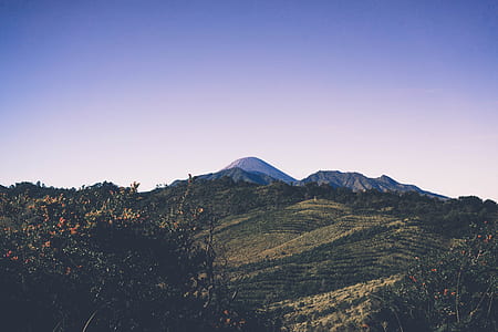 landscape shot of mountain thumbnail