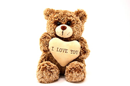 brown teddy bear thumbnail