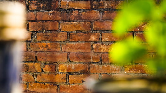 empty brown brick wall thumbnail