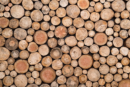 bunch of wood stump thumbnail