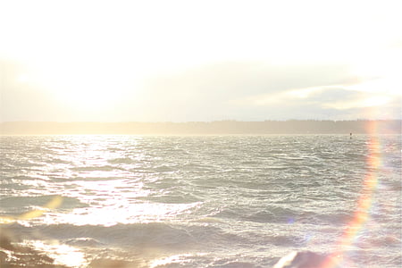 body of water during daytime thumbnail