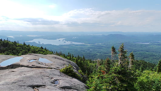 brown cliff in front of forest thumbnail
