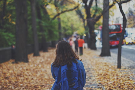 girl walking on pathway covered with dried leaves thumbnail