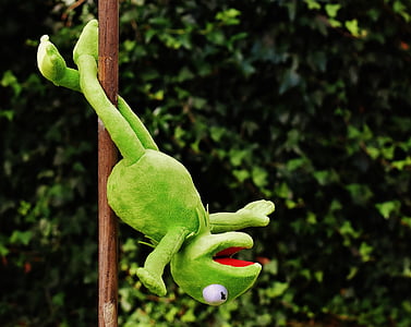 Kermit the frog pole dancing thumbnail