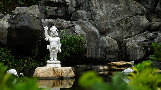 Buddha statue beside rock formation thumbnail