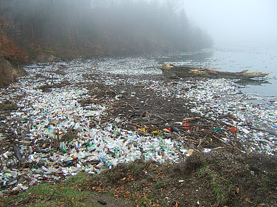 body of water full of plastic bottles and slab logs thumbnail