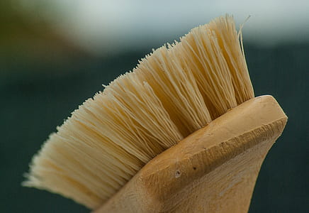 close up of brown and white brush thumbnail