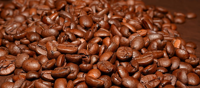 bunch of coffee beans thumbnail