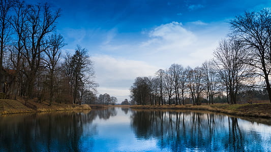 landscape, nature, water, trees thumbnail