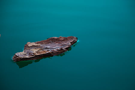 brown wood floating on warm water thumbnail