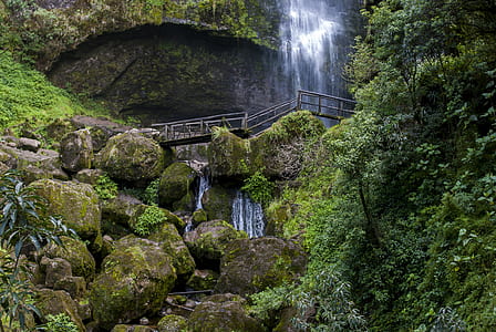 photo of bridge near waterfall thumbnail
