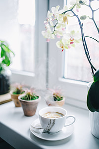 Cup of coffee in the morning thumbnail