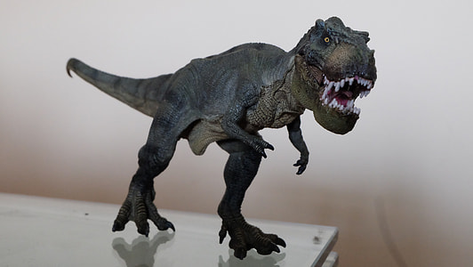 shallow focus photography of gray Tyrannosaurus Rex figurine on glass-top table thumbnail