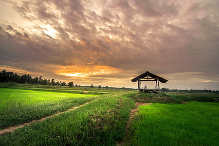 brown wooden shed on grass field during golden hour thumbnail