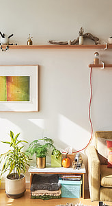 person, house, interior, decor thumbnail