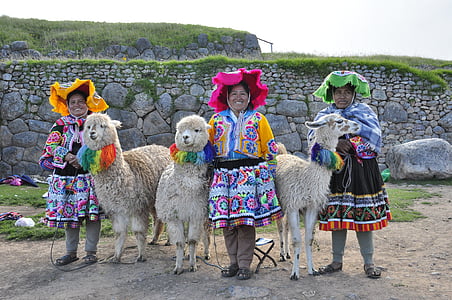 three woman with alpaca s thumbnail