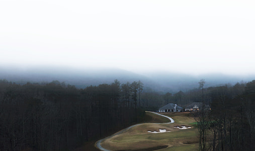 aerial view of house in the middle of forest during daytime thumbnail