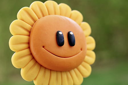 selective focus photo of a sunflower smile thumbnail