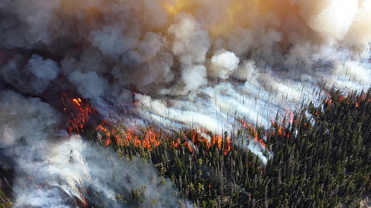 time lapse photo of forest fire thumbnail