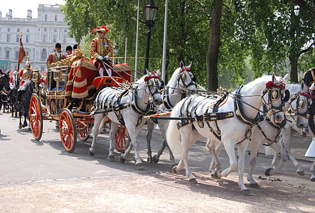 group of people on carriage \ thumbnail