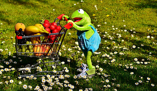 Kermit The frog holding shopping cart on green grass field toy thumbnail