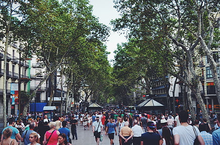 people walking on park surrounded by trees thumbnail