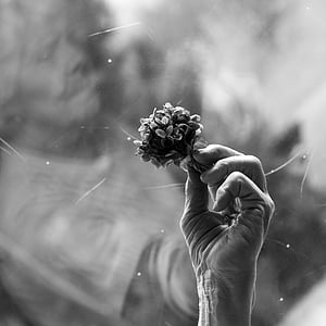 grayscale photo of person holding flower thumbnail
