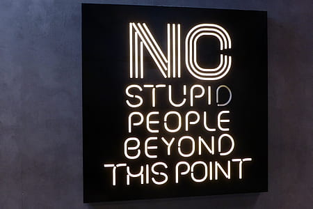 No Stupid People Beyond This Point neon sign thumbnail