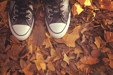 photo of person wearing low-top sneakers stamping on maple leaves thumbnail