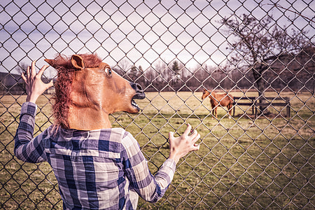 person with horse mask watching brown horse during daytime thumbnail