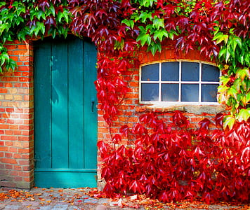 house with blue wooden door with white window thumbnail
