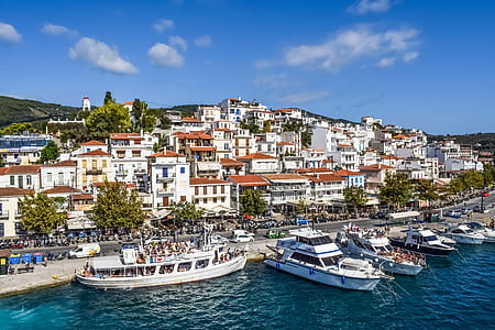 several yacht docked beside shore thumbnail